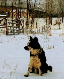 1220170907-1~3 - Copy (2)