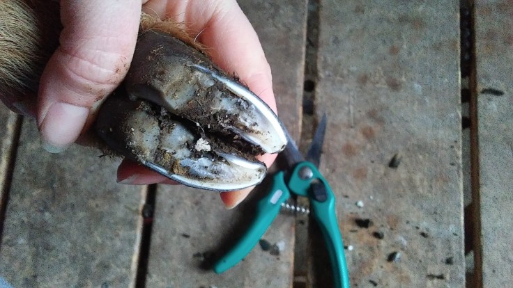 download_20171130_161454