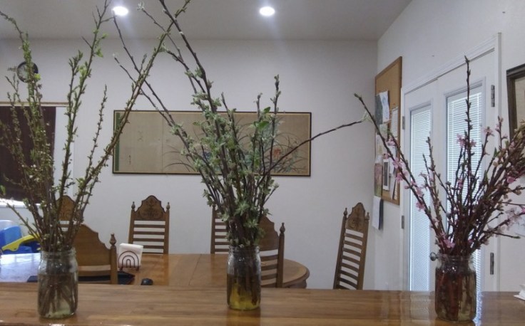 20190426_105741_800x600