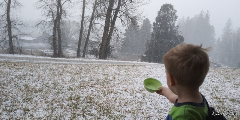 20200308_135843_800x400