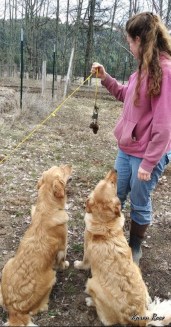 20200324_151142_800x400