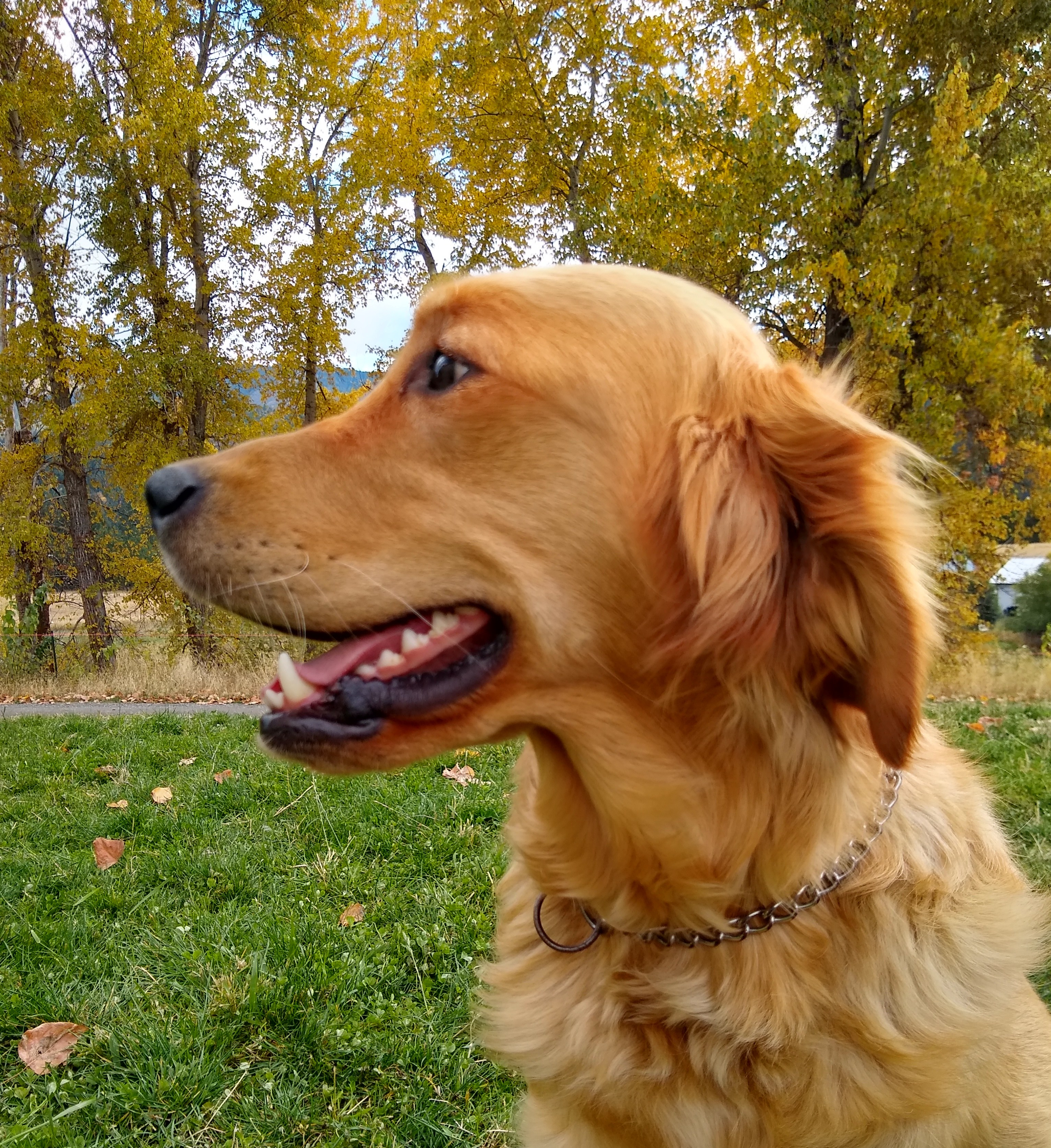 IMG_20201021_132147233_HDR