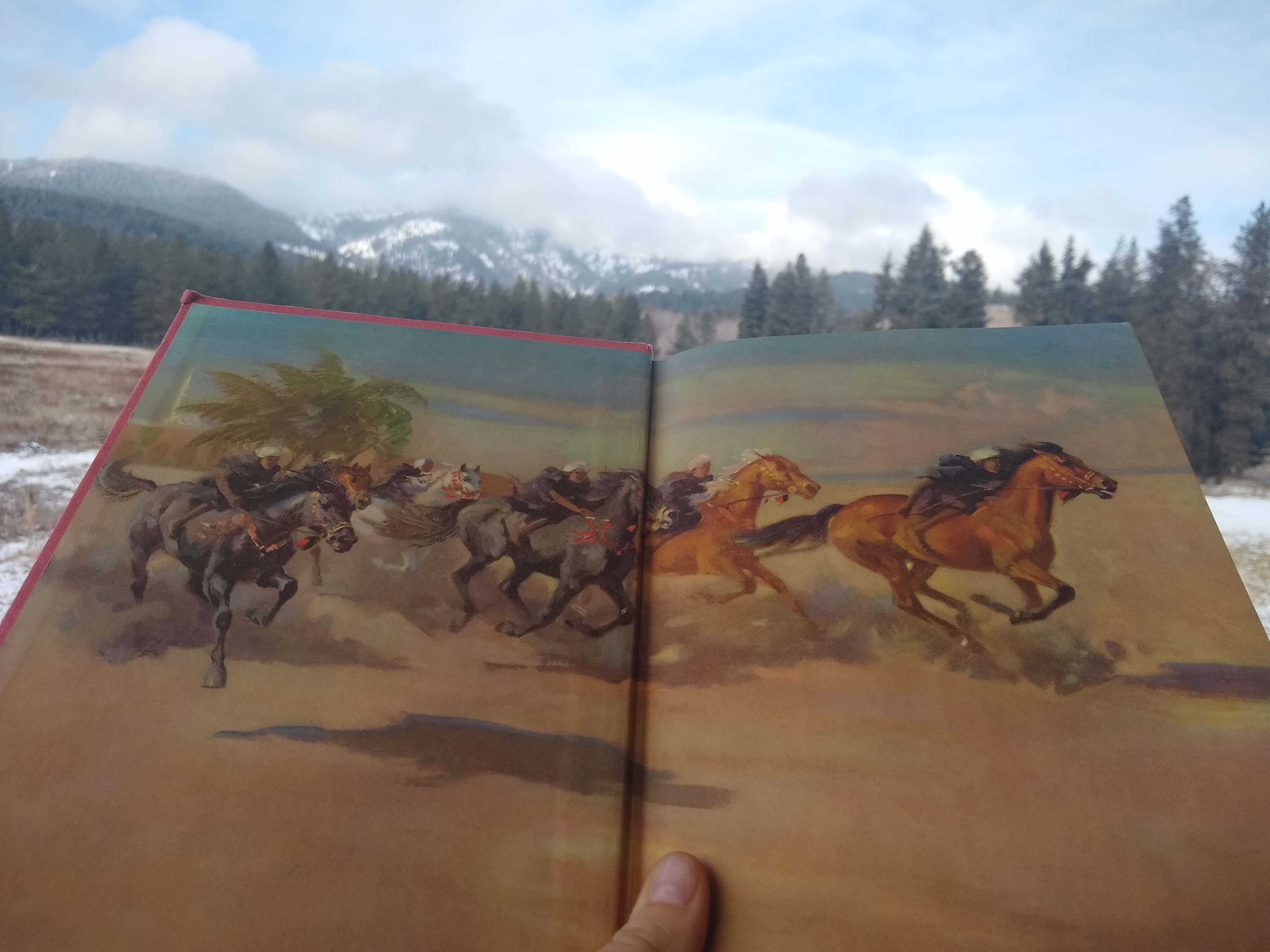 IMG_20210126_120853839