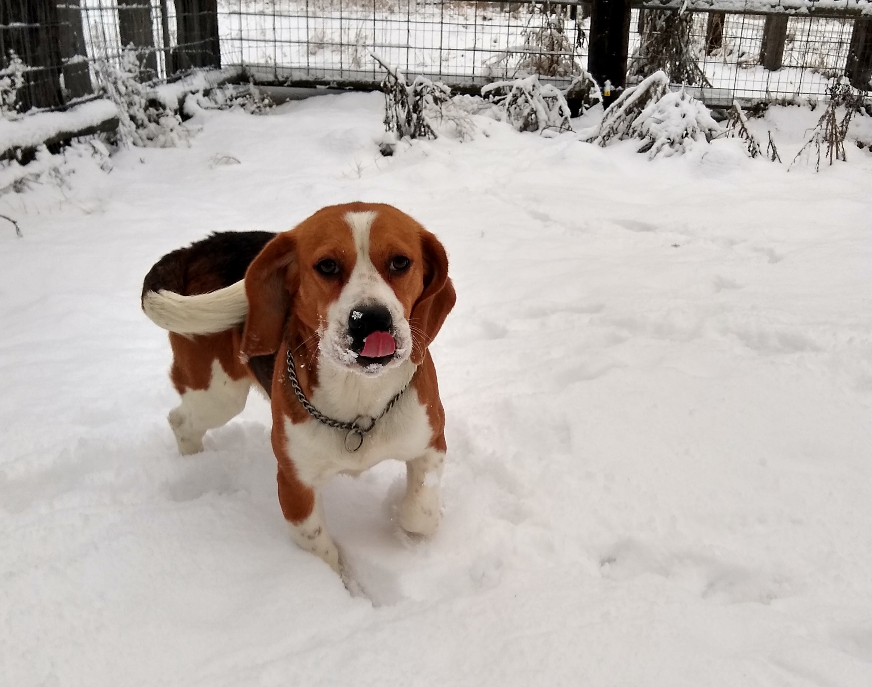 IMG_20210128_080107519_HDR~2