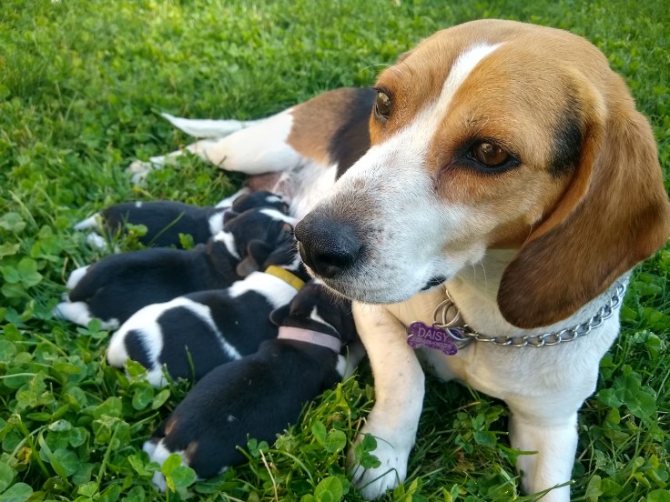 IMG_20210909_104902514_HDR