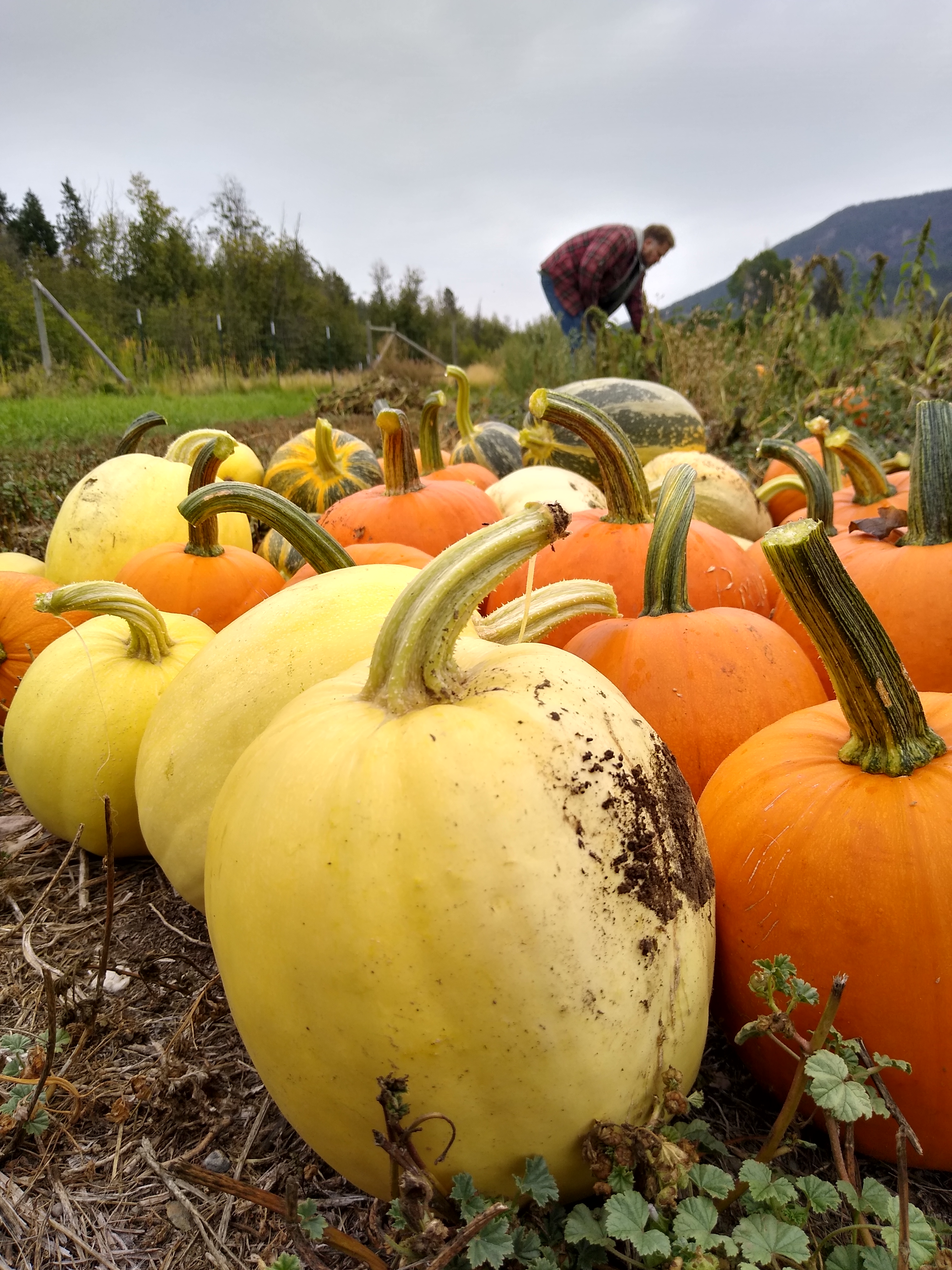 IMG_20210917_121556806_HDR