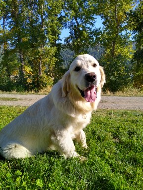 IMG_20210923_160339083_HDR