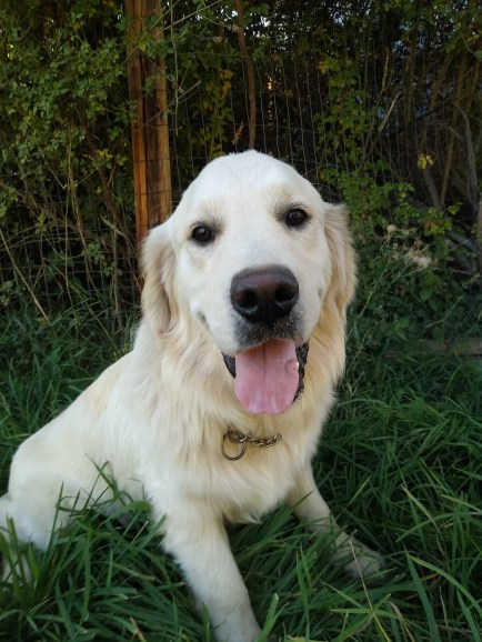 IMG_20210923_161446180