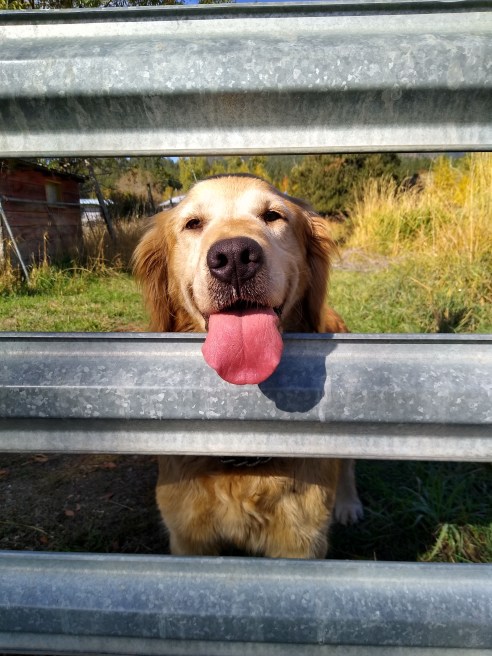 IMG_20211016_113826025_HDR