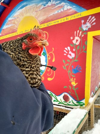 IMG_20220104_140450266_HDR