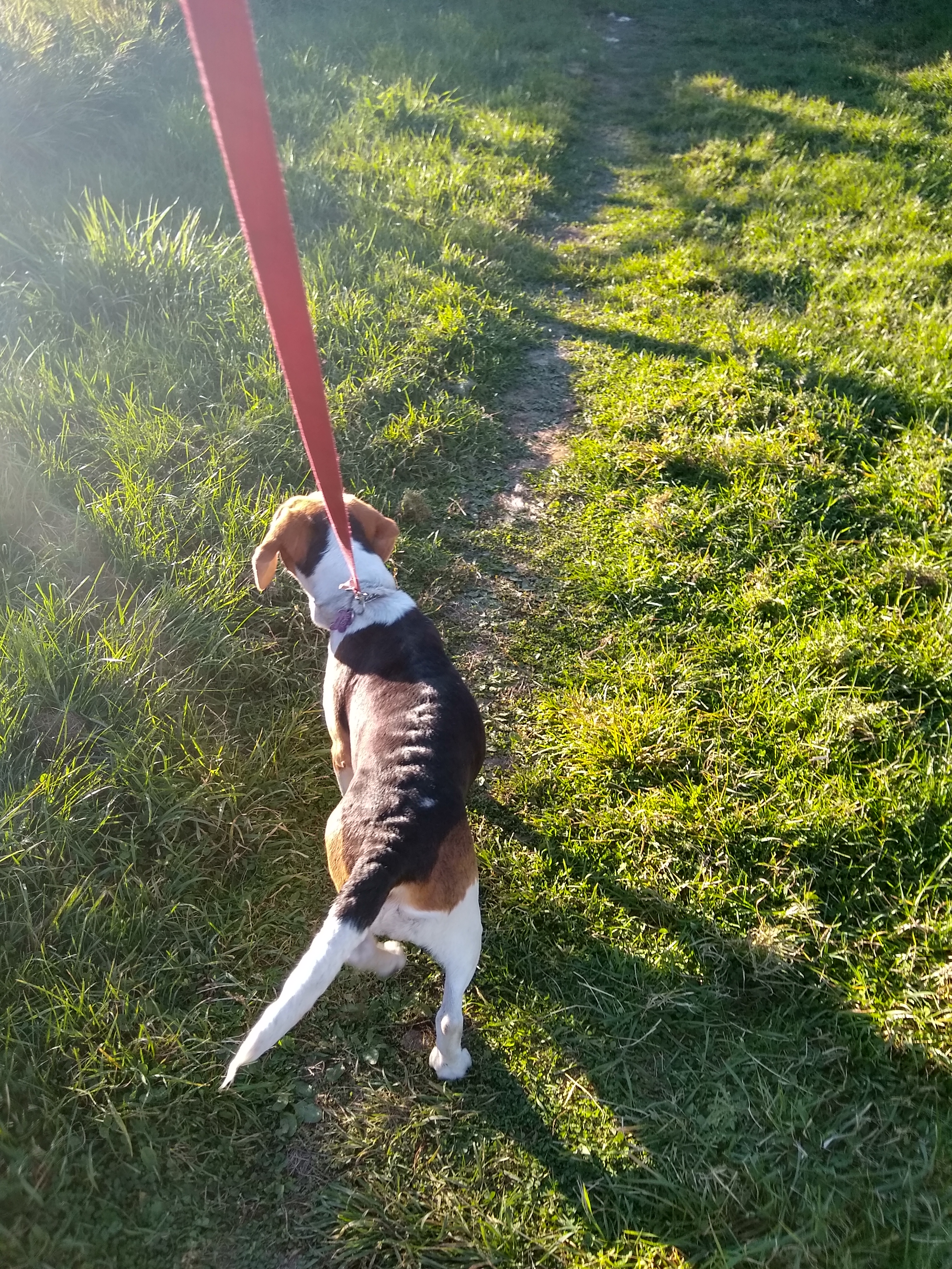 IMG_20210924_170847393_HDR