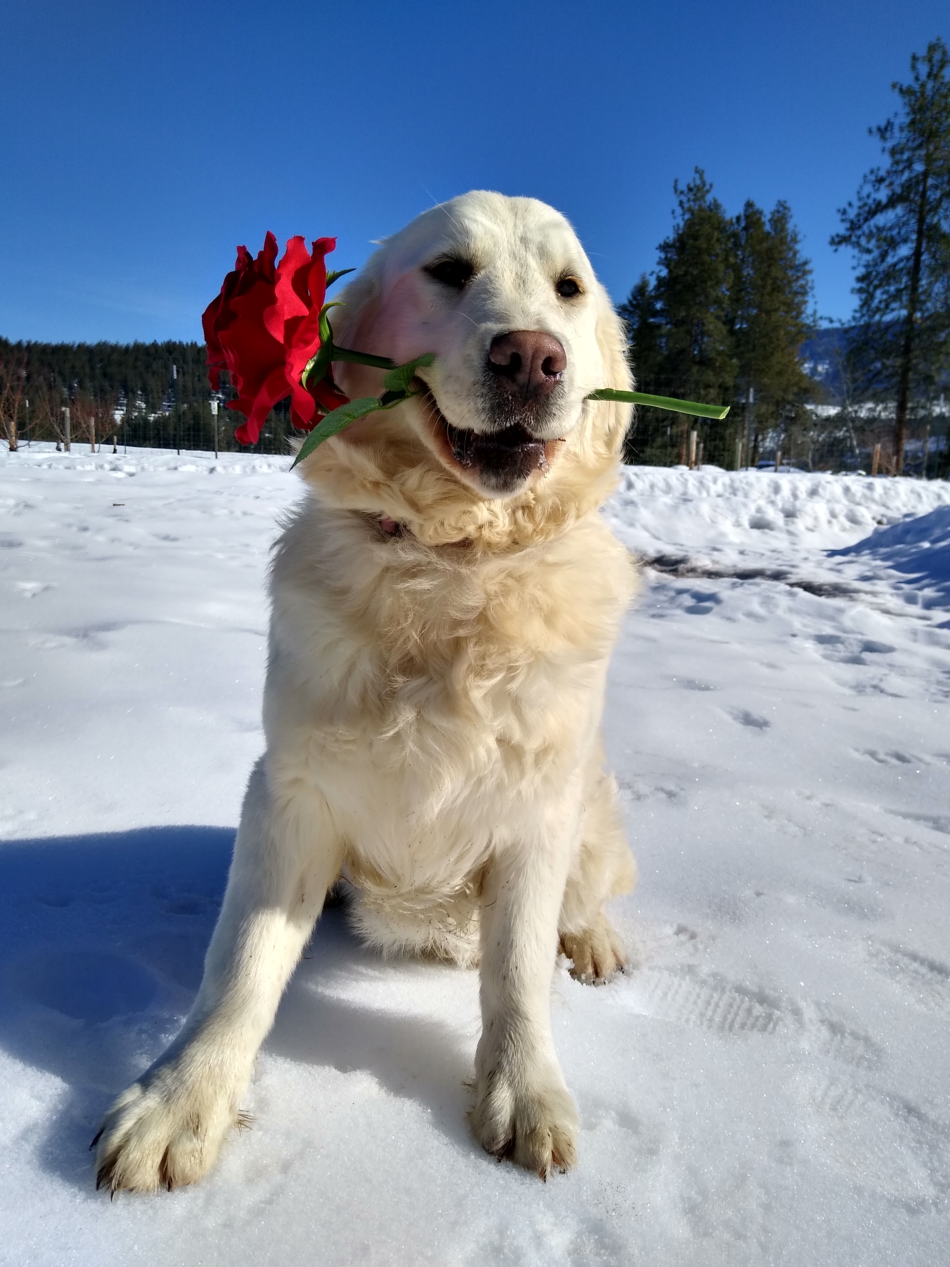 IMG_20220212_111933127_HDR