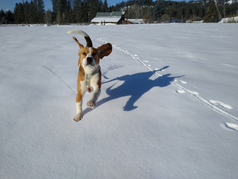 IMG_20220224_090556127_800x600