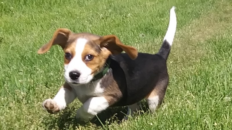 Screenshot_2019-07-25-16-35-58_800x450