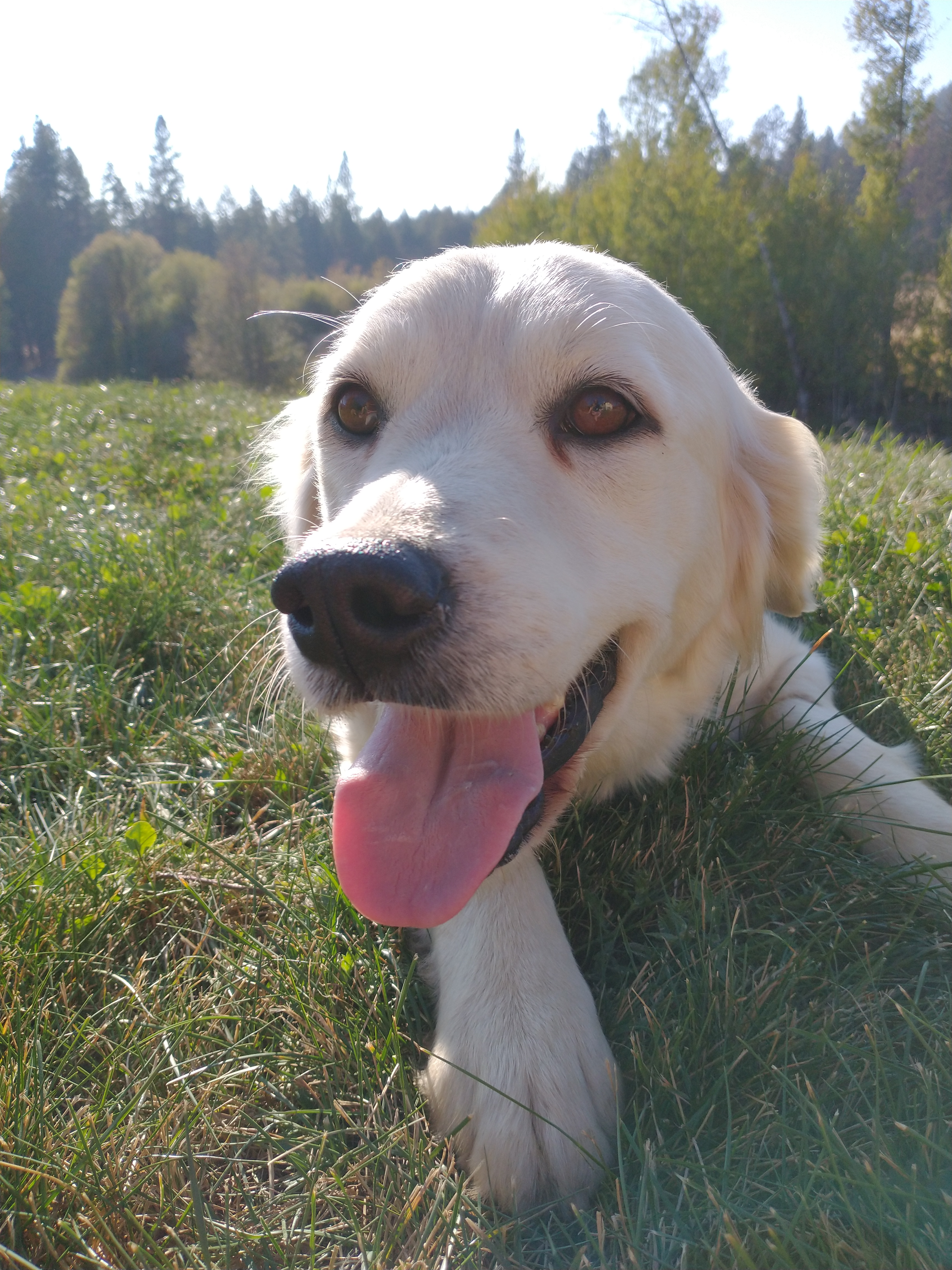 IMG_20221018_150541978